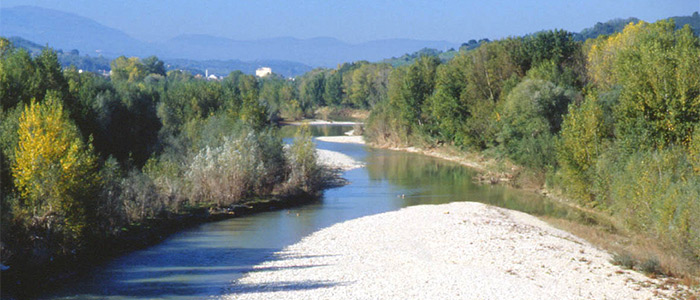 Troviamoci sull’Arno