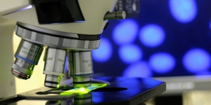 Alla scoperta delle cellule con ITT