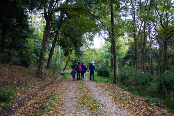 Il reportage nel parco di Pratolino