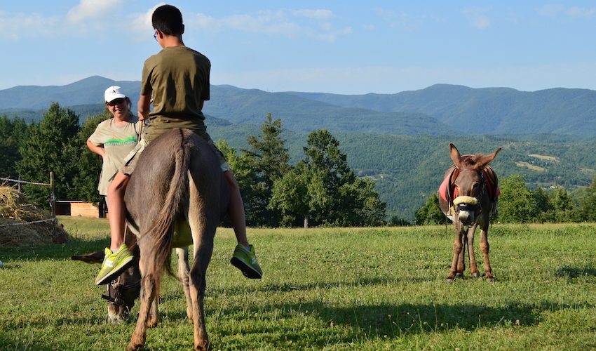 CASENTINO – TREKKING CON L’ASINO