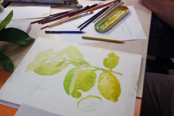 Le scienze con il pennello: lavori in corso!