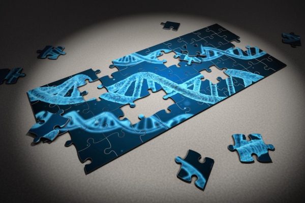 Fisica, Biologia e matematica: gli avvincenti laboratori digitali di Golinelli