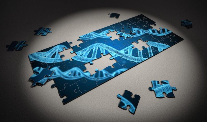 Fisica, Biologia e matematica: gli avvincenti laboratori digitali di Golinelli