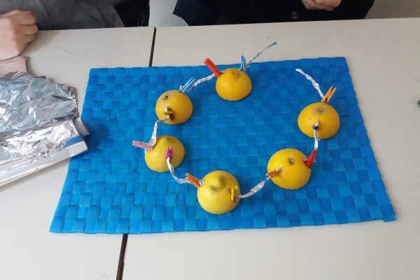 Laboratorio di fisica: i modelli di  leve e circuiti ideati dalle classi