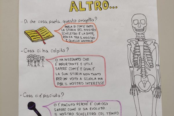 Il nostro scheletro e oltre: infografiche, presentazioni e video.