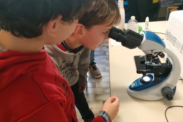 Le scienze della vita vi piacciono, valorizziamo i vostri elaborati!