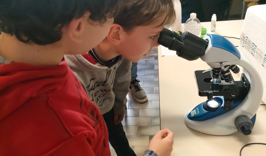 Le scienze della vita vi piacciono, valorizziamo i vostri elaborati!