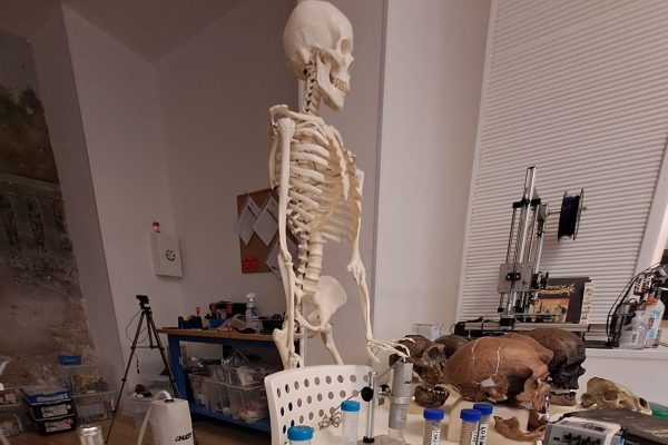 Il nostro scheletro e oltre…2023