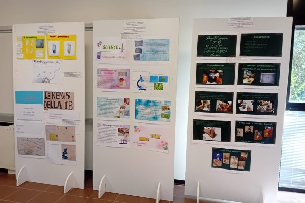 Le foto della mostra a ScienzEstate