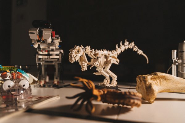 STEAHMmiamoci: scienza, robotica e AI
