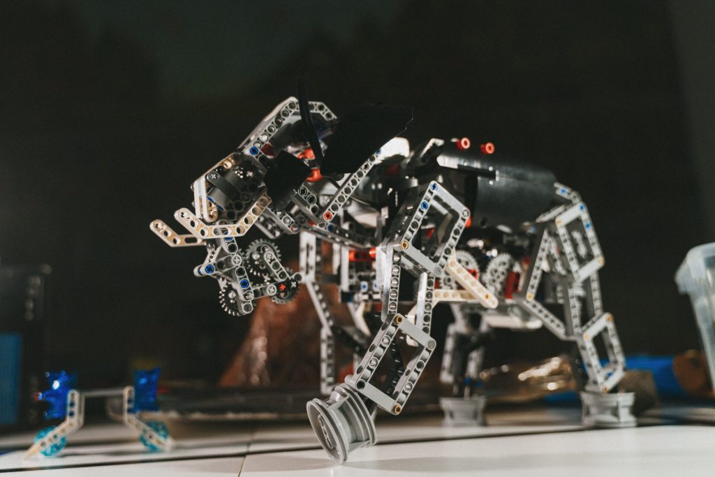 Robot School senior