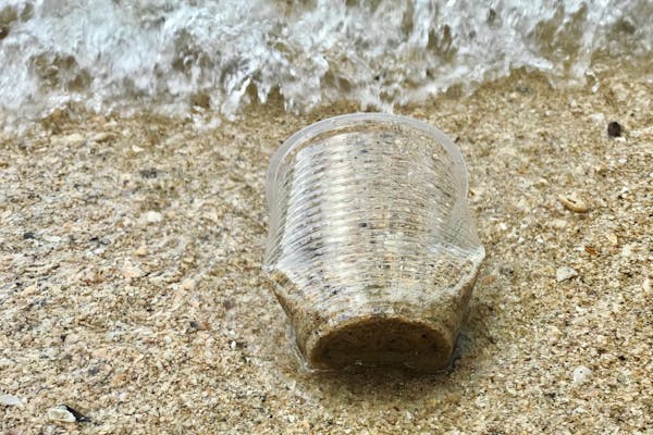 microplastiche
